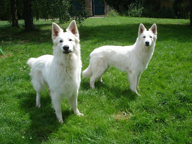 Gynkie et Glace Boy sont devenus parents !